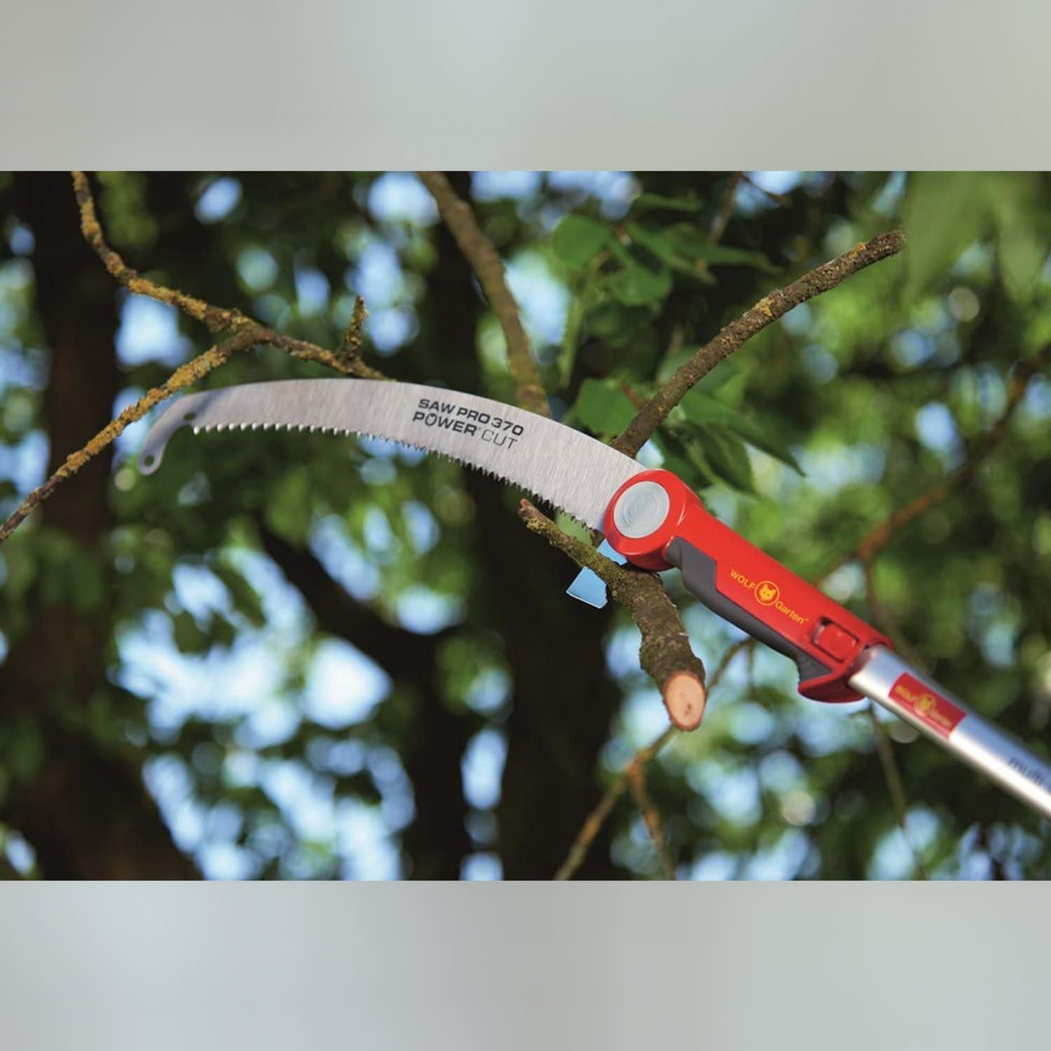 pro-pruning-saw