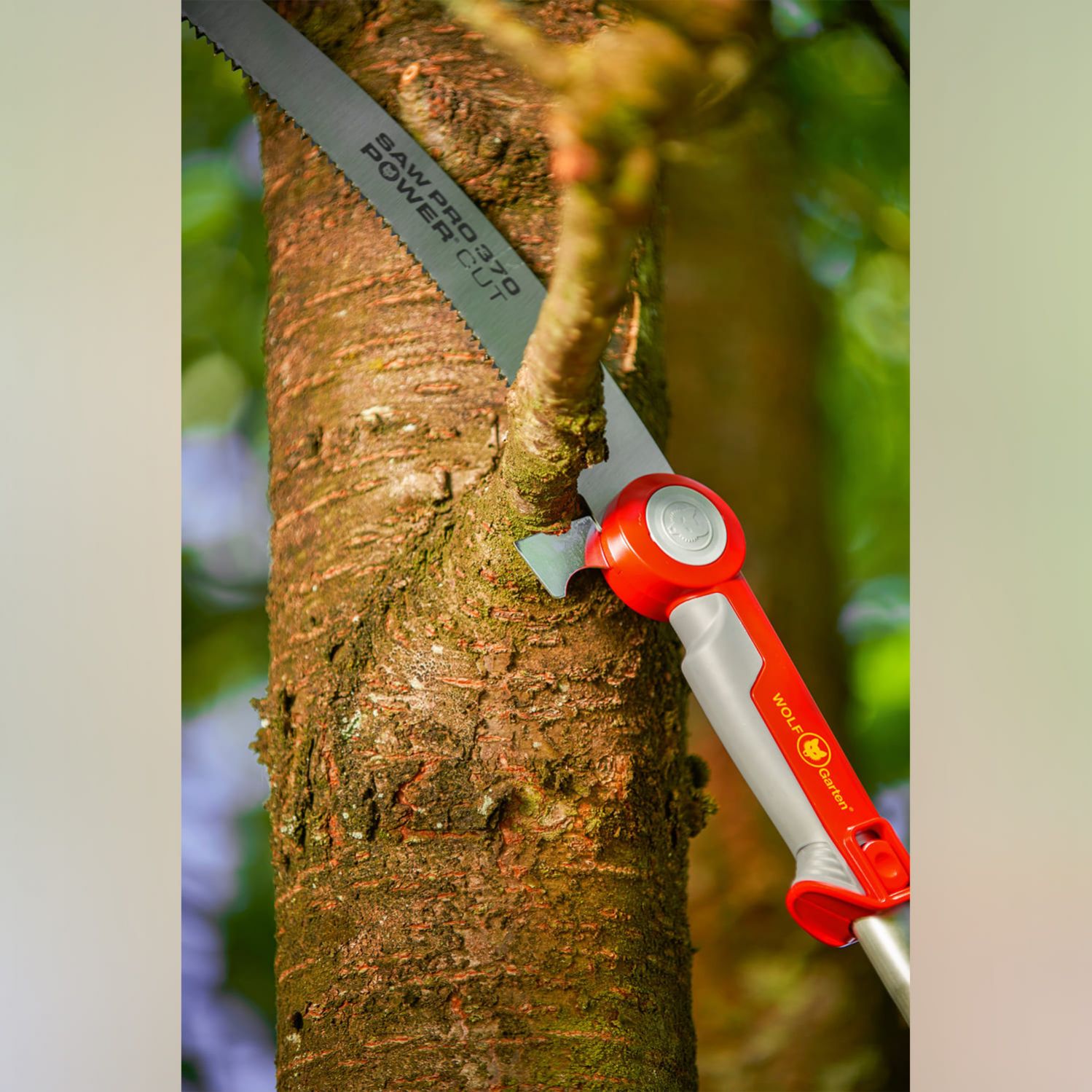 pro-pruning-saw