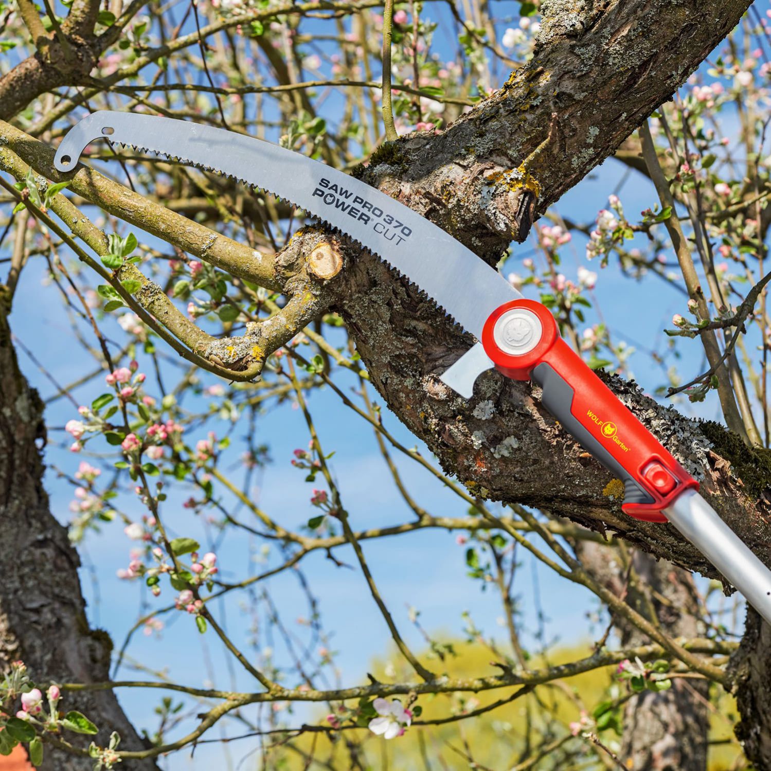 pro-pruning-saw