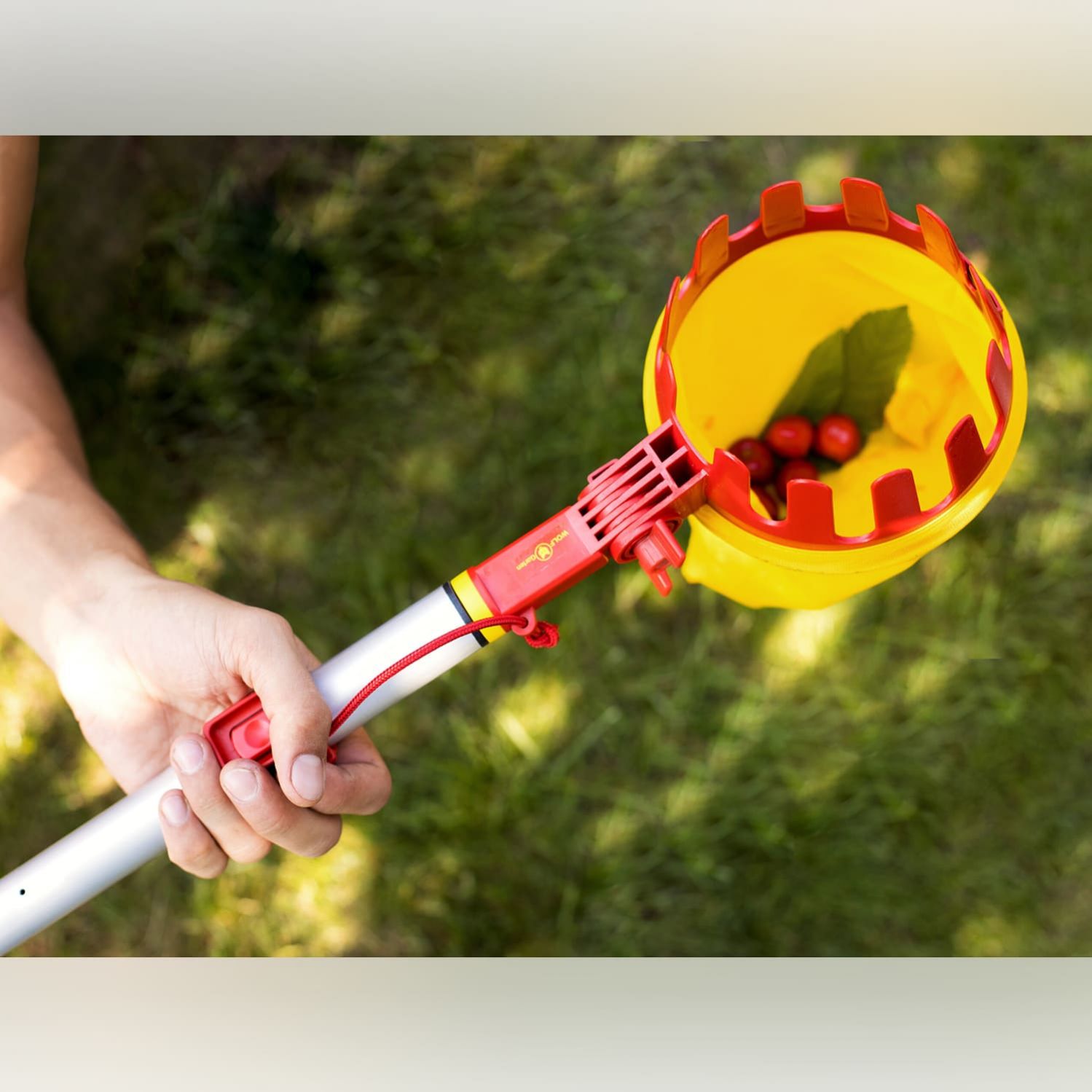 articulated-fruit-picker