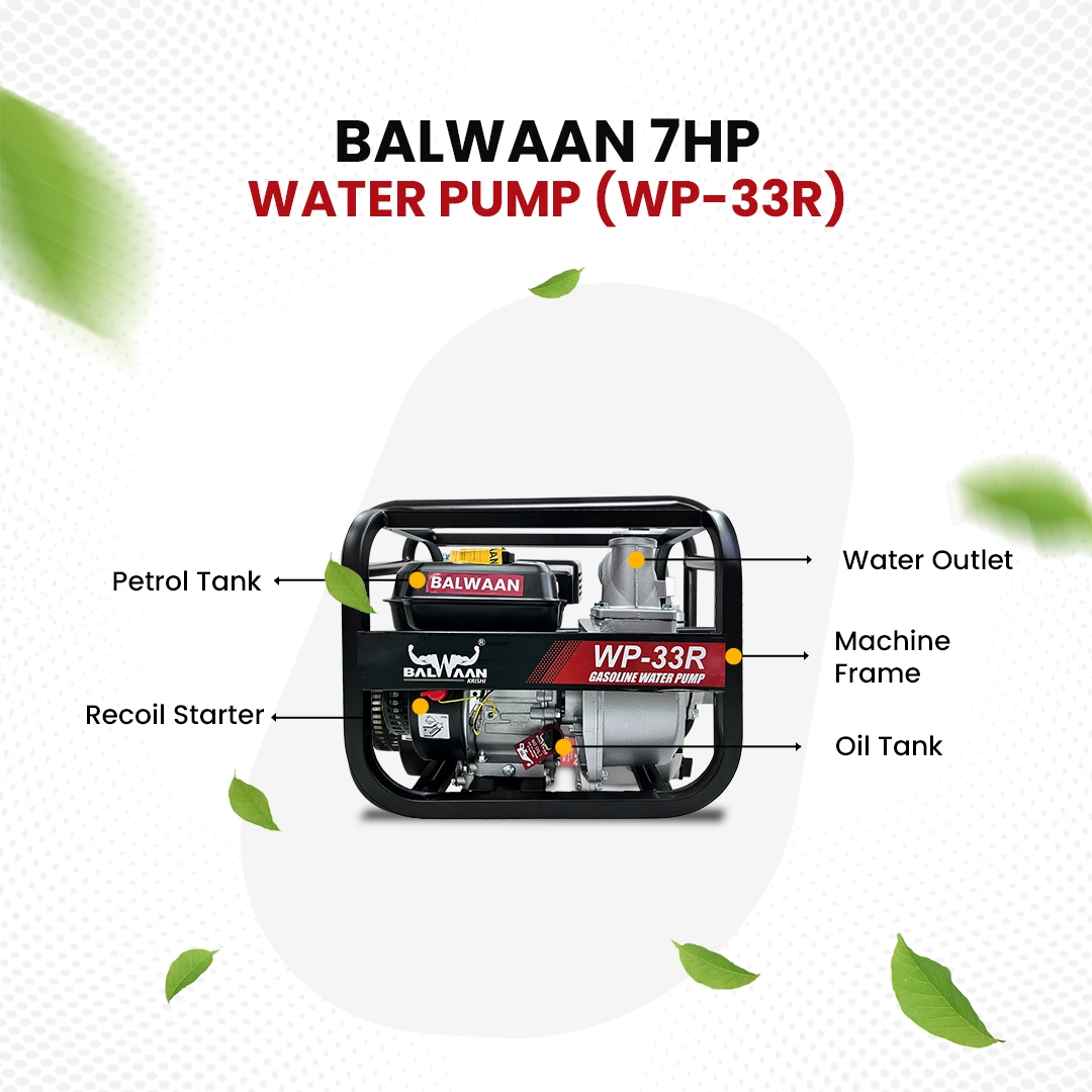 Balwaan-7HP-Water-Pump-(WP33R)