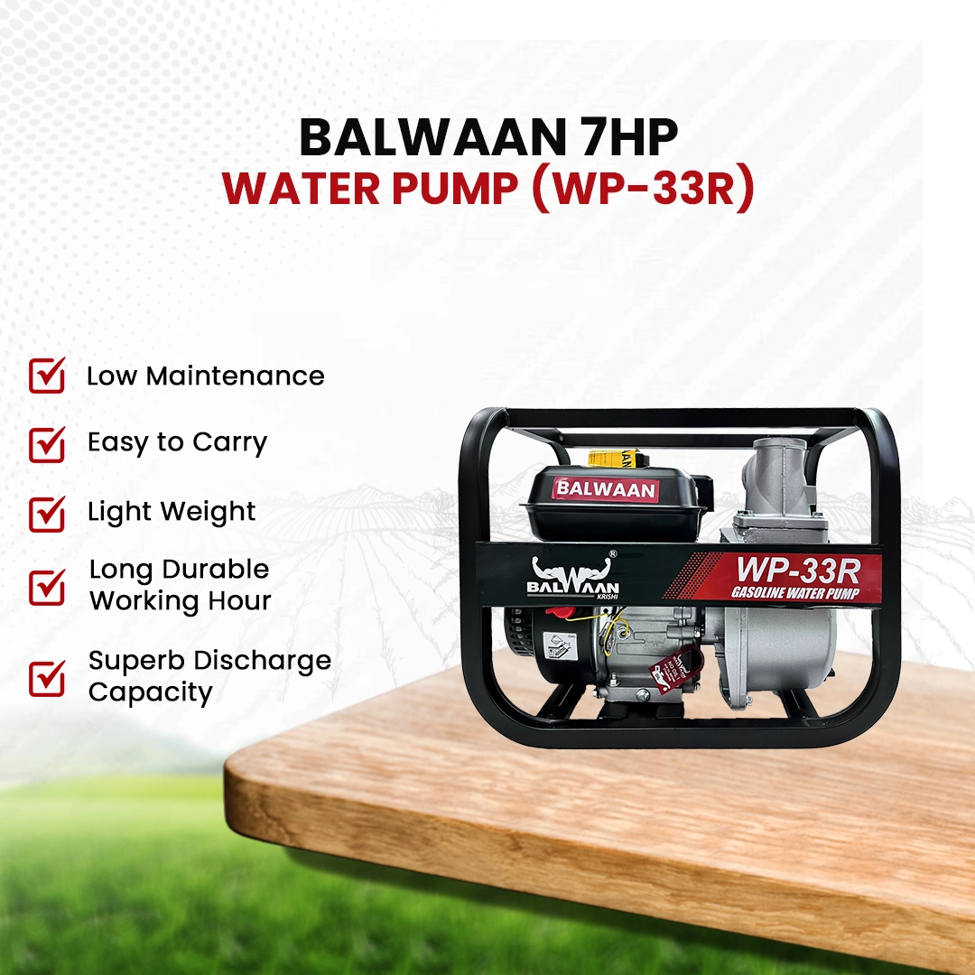 Balwaan-7HP-Water-Pump-(WP33R)