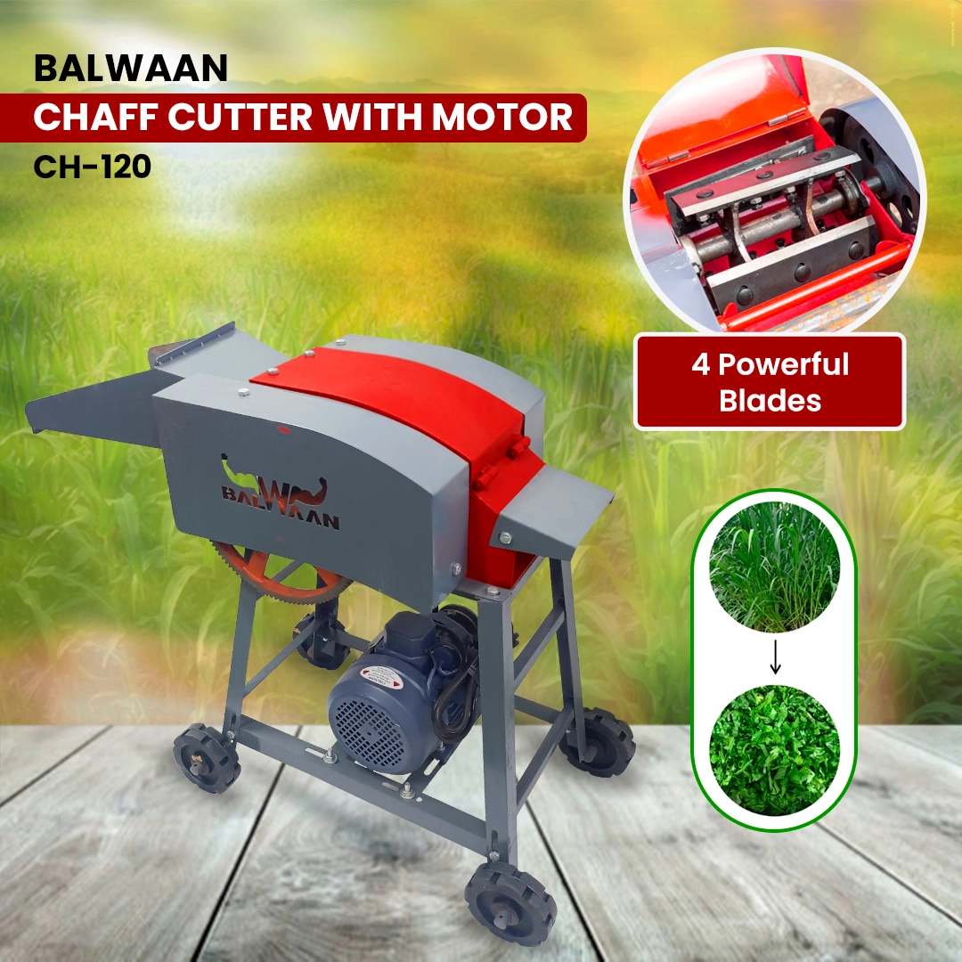 Chaff-cutter-machine-with-motor-lifestyle-ch-120