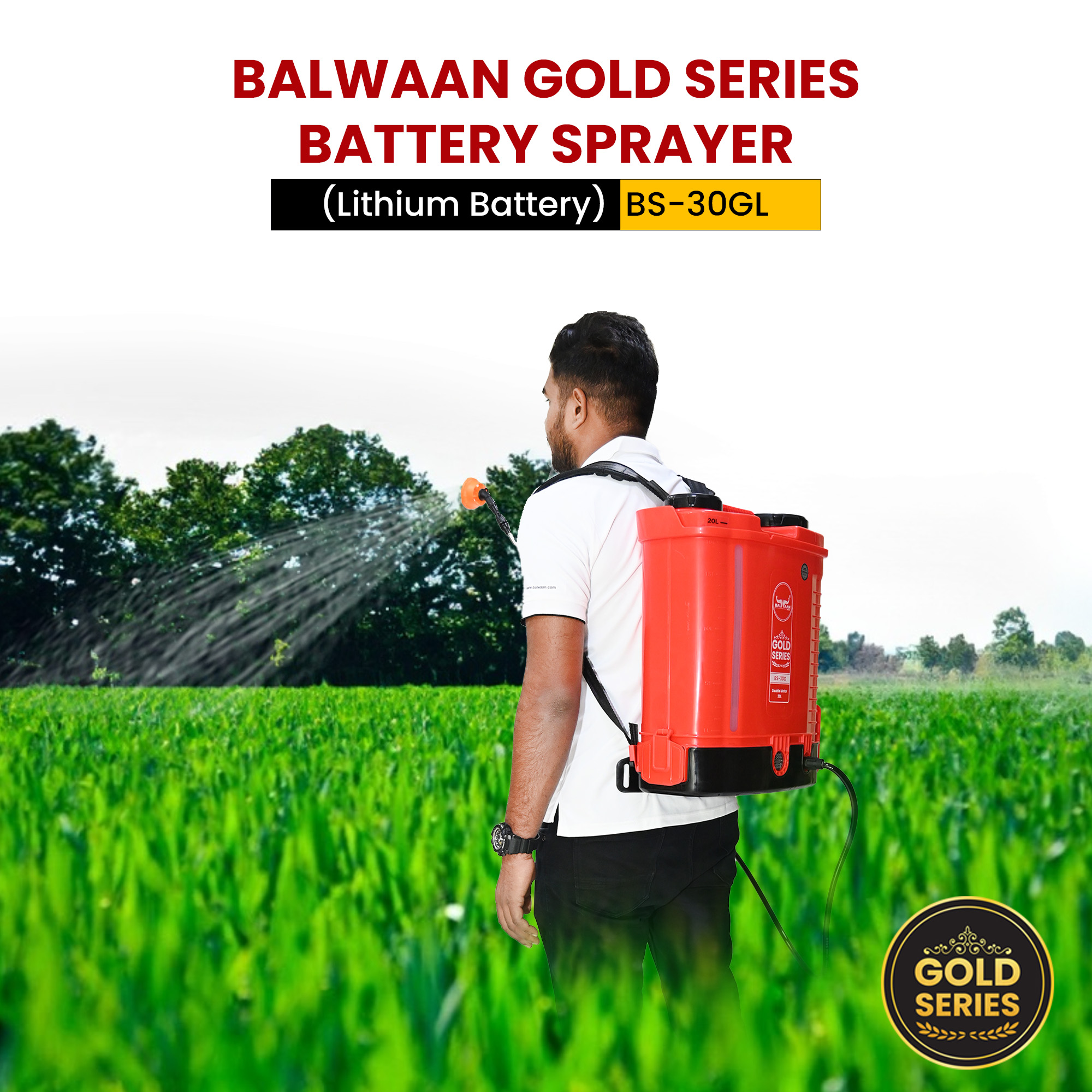 balwaan-gold-series-double-motor-battery-sprayer-bs-30gl-7.jpg