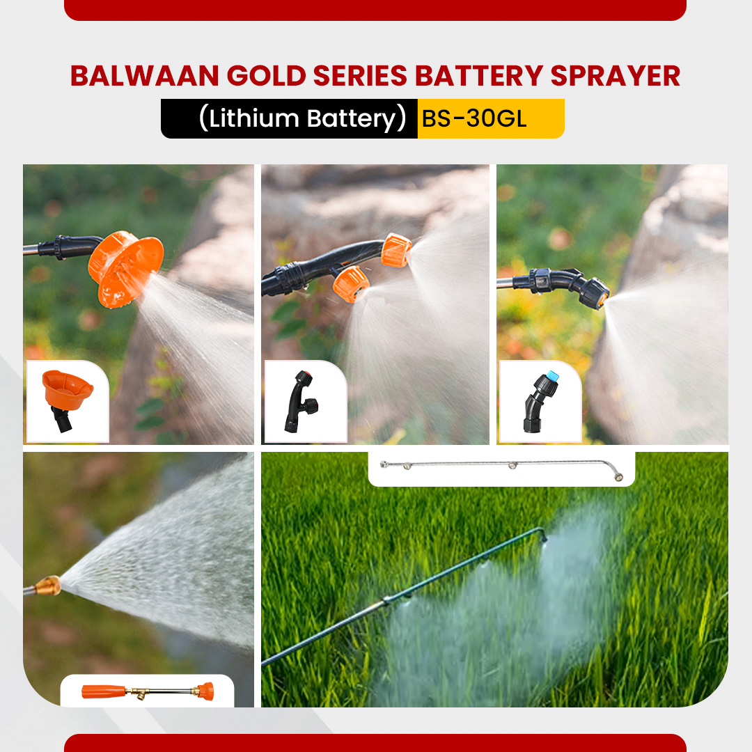 balwaan-gold-series-double-motor-battery-sprayer-bs-30gl-8.jpg