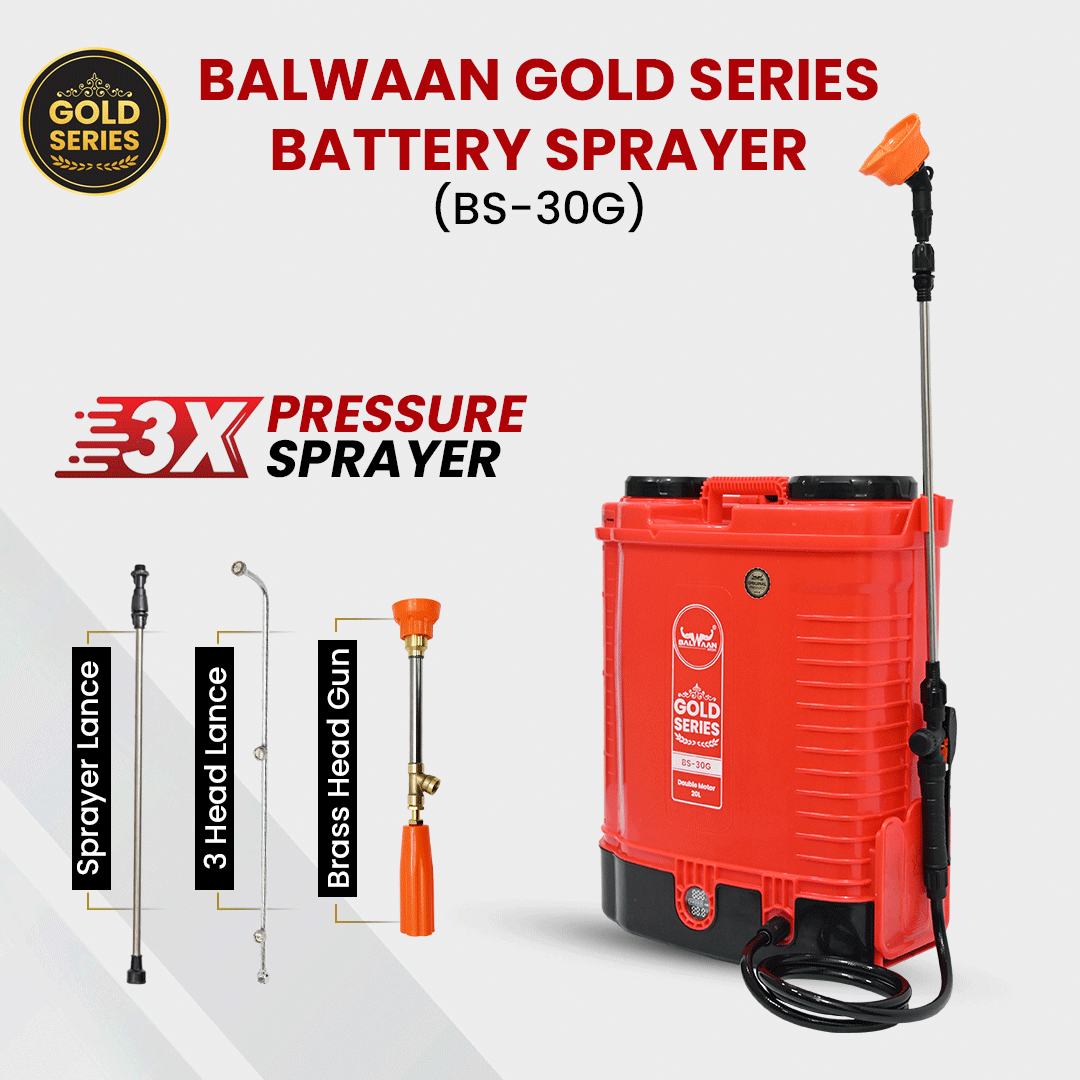 double-motor-battery-sprayer-pump-bs-30g-2.gif