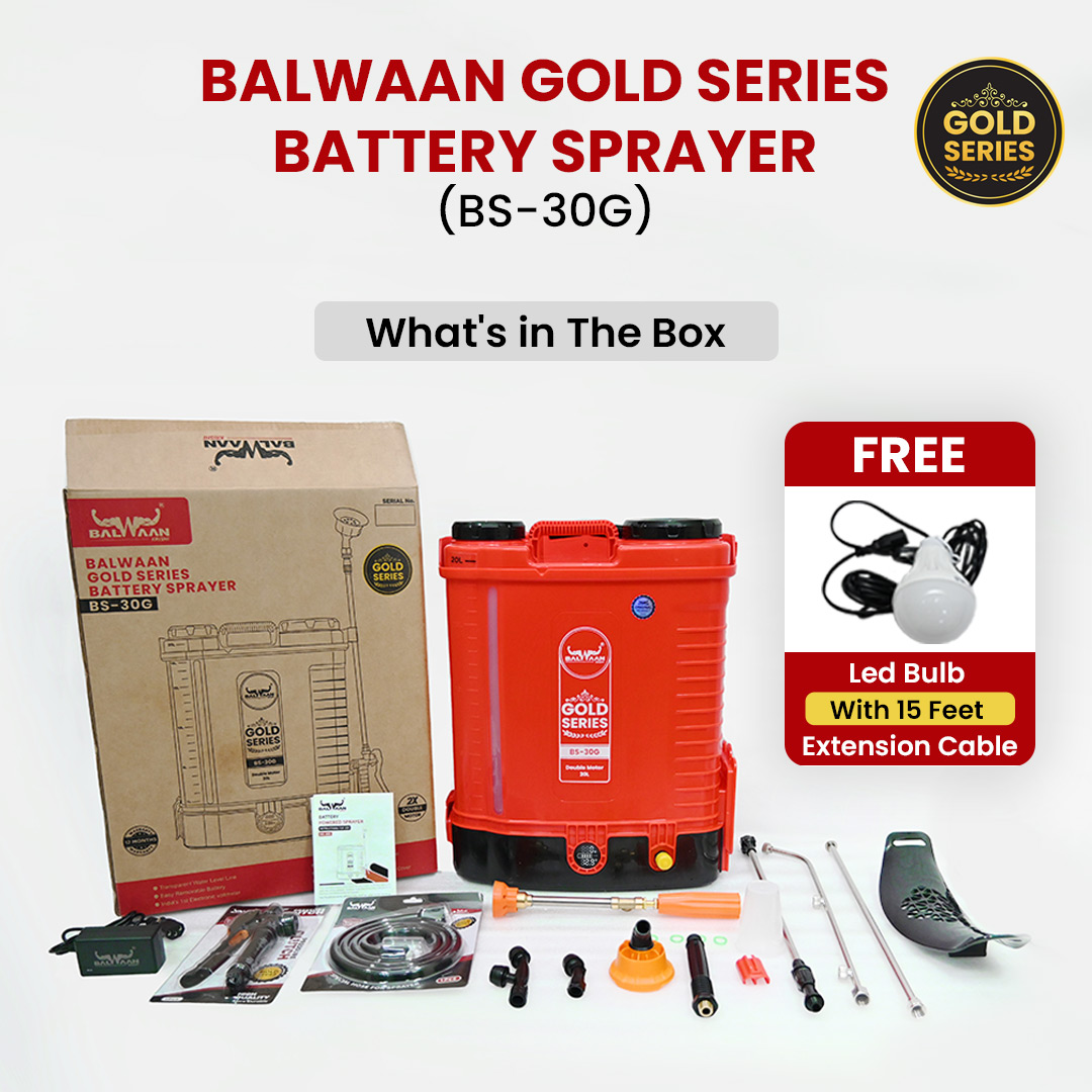 double-motor-battery-sprayer-pump-bs-30g-3.jpg