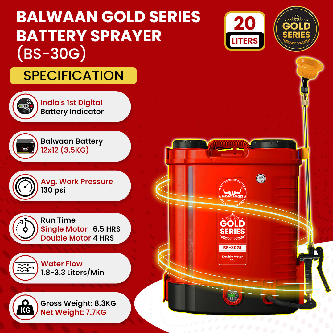double-motor-battery-sprayer-pump-bs-30g-4.jpg