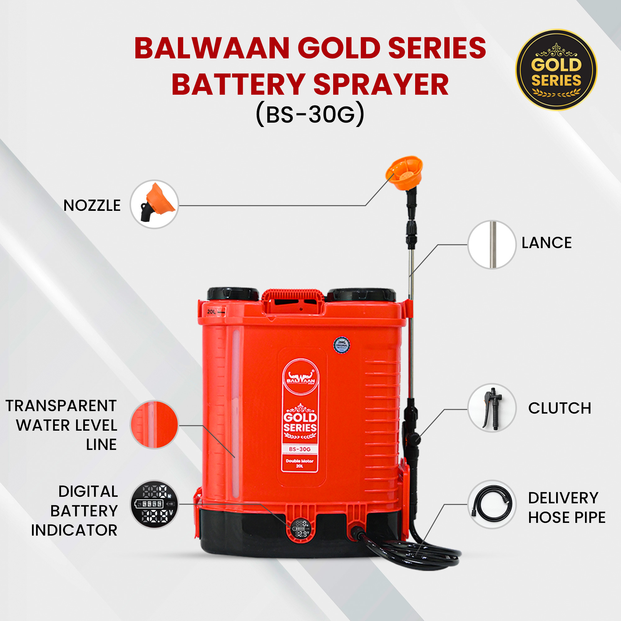 double-motor-battery-sprayer-pump-bs-30g-5.jpg
