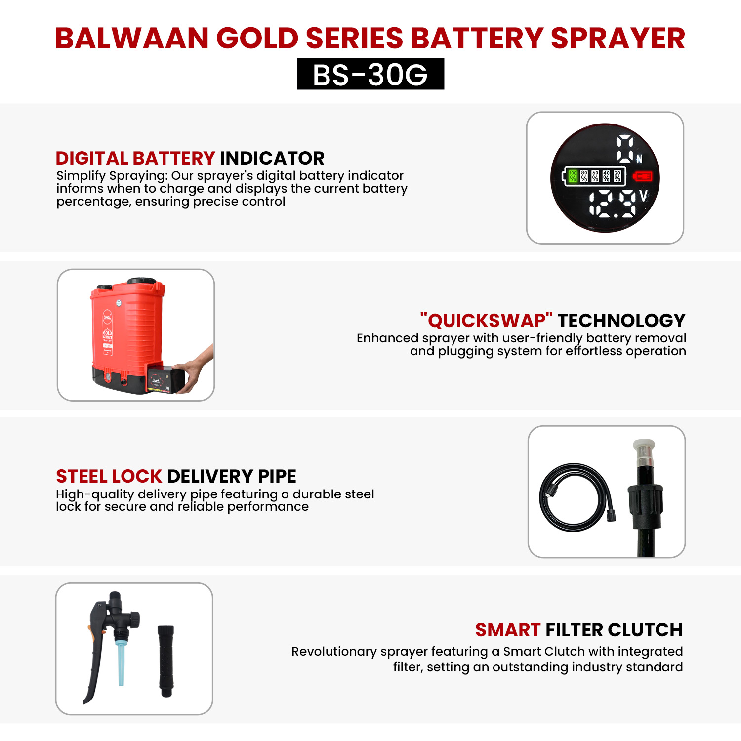 double-motor-battery-sprayer-pump-bs-30g-6.jpg