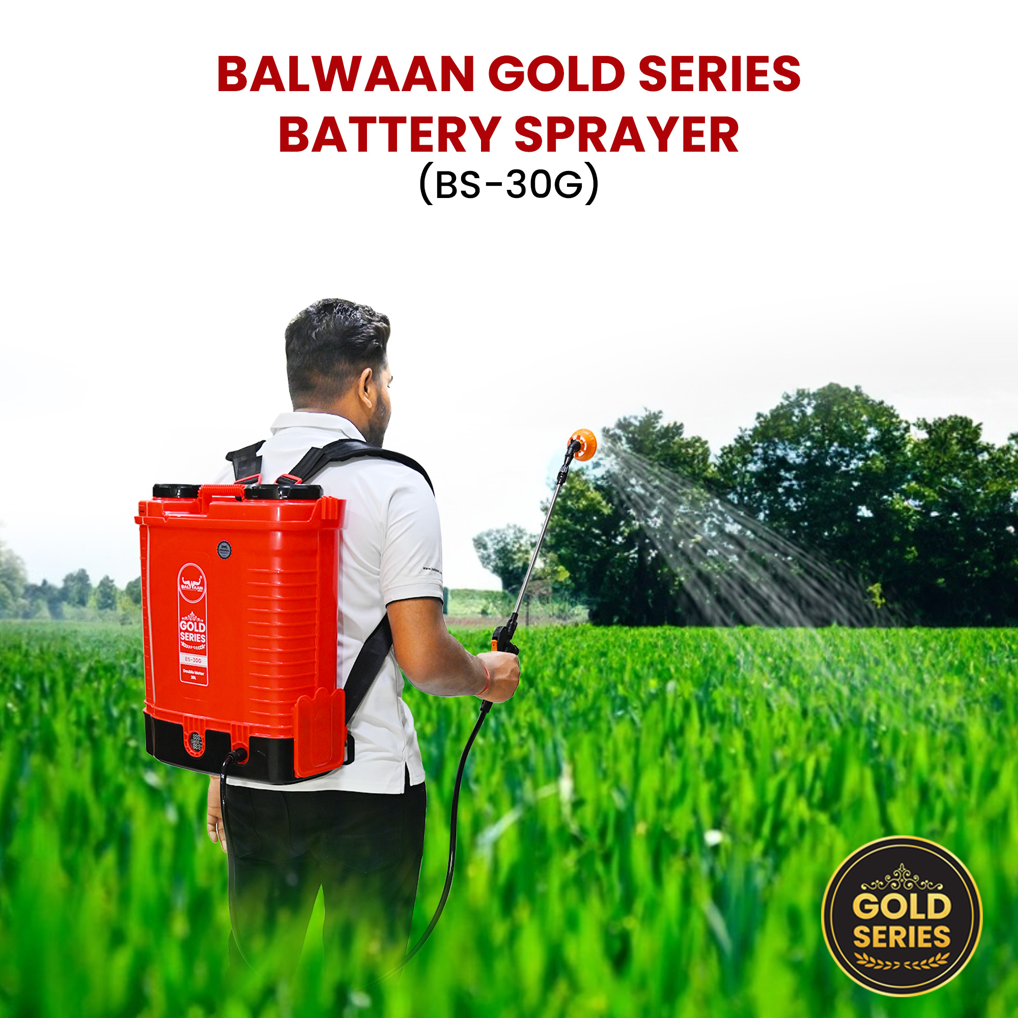 double-motor-battery-sprayer-pump-bs-30g-8.jpg