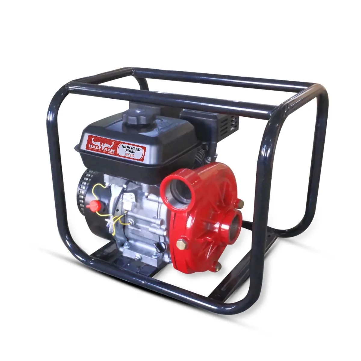 Balwaan-2x2-inch-high-head-pump