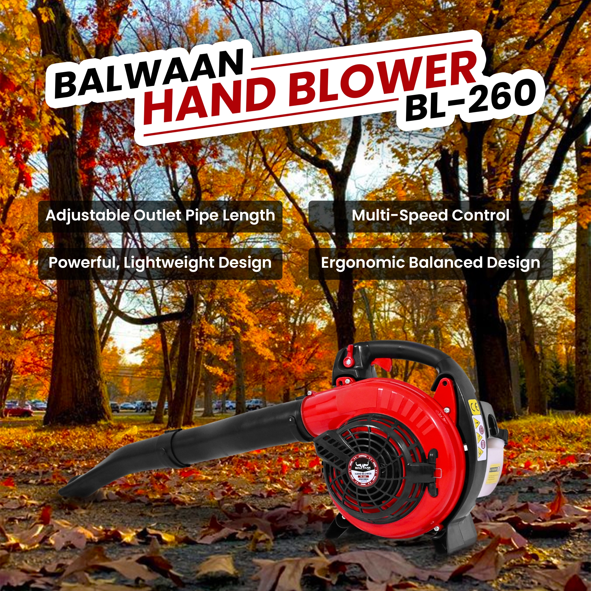Balwaan-portable-hand-blower-machine