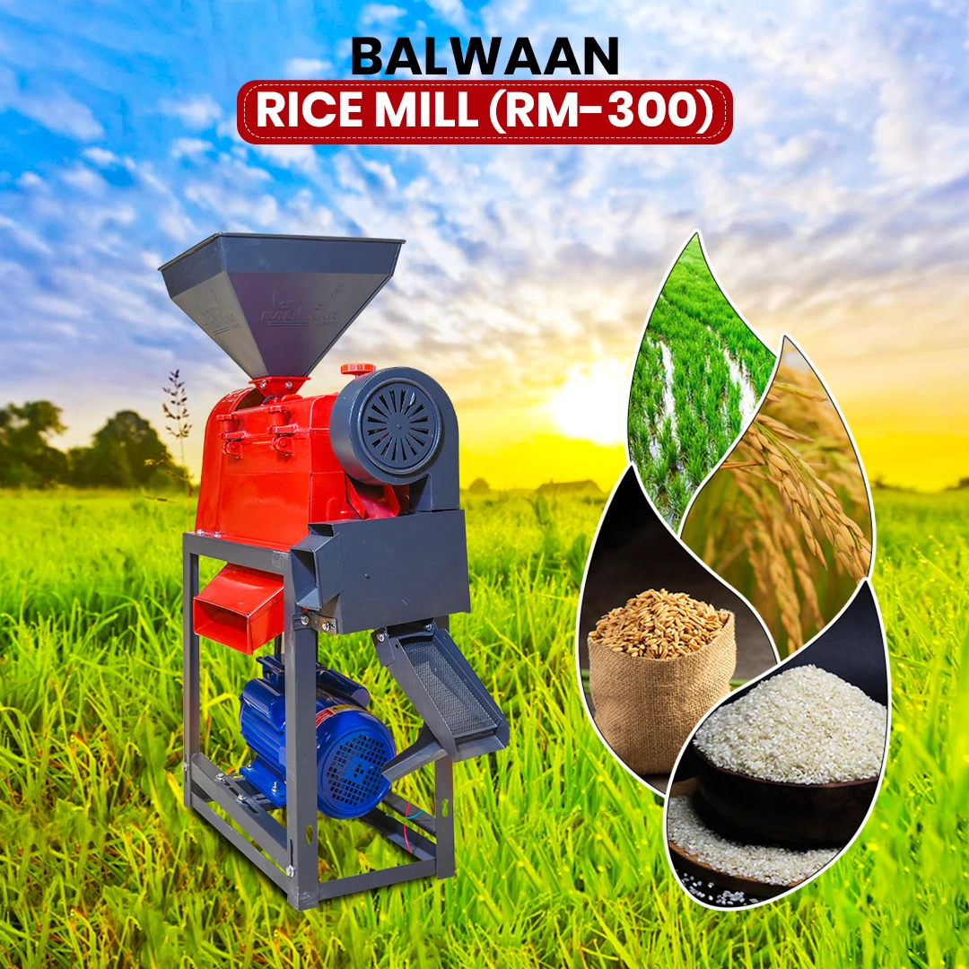 Balwaan-rice-mill-rm-300-3
