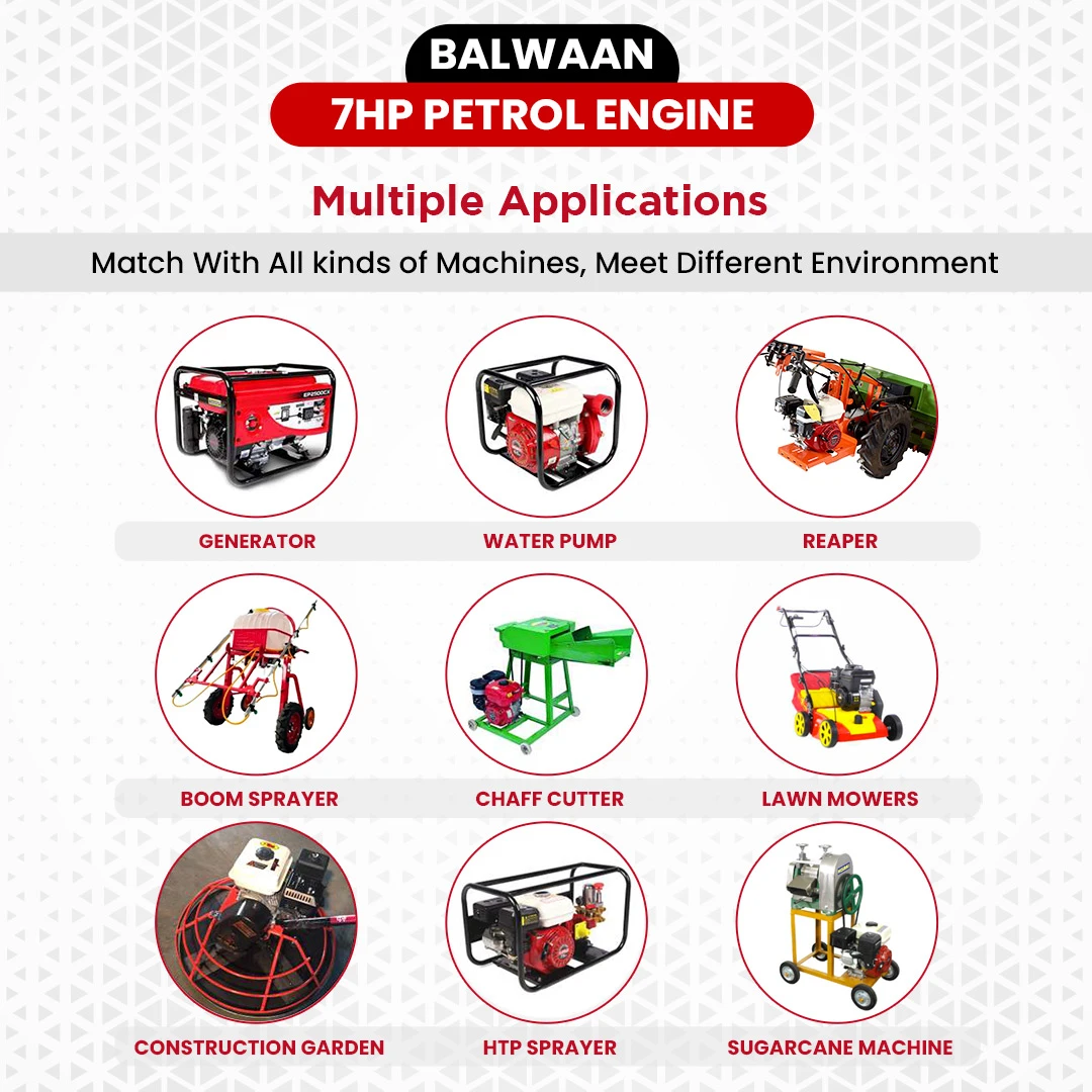 balwaan-7hp-bare-petrol-engine-bx-212