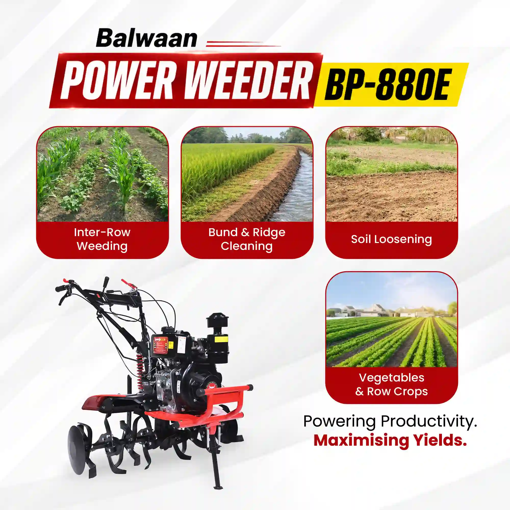 4_(3)1.webp